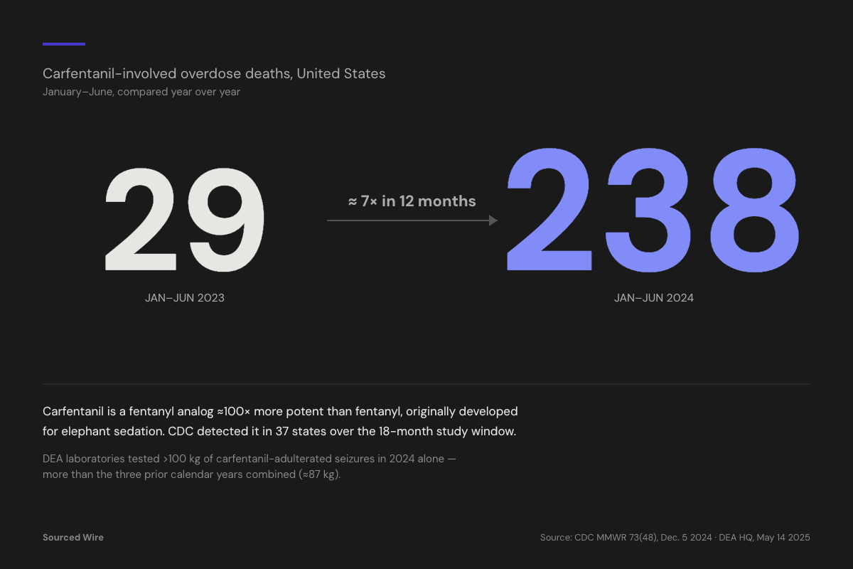 Carfentanil Deaths Jumped Sevenfold Between 2023 and 2024, CDC Reports
